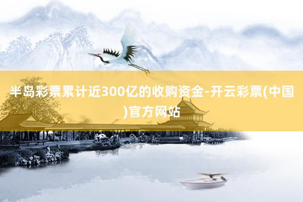 半岛彩票累计近300亿的收购资金-开云彩票(中国)官方网站